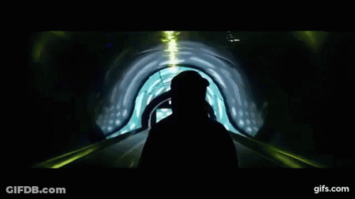 Shark Swimming Underwater With Light GIF