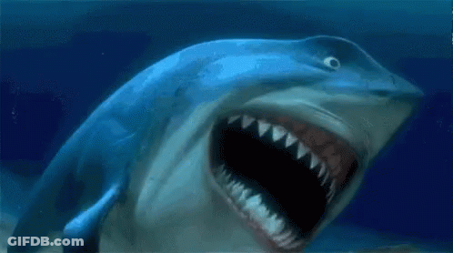 Shark Swimming With Mouth Open Looking At Camera GIF