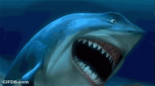 Shark Swimming With Open Mouth GIF