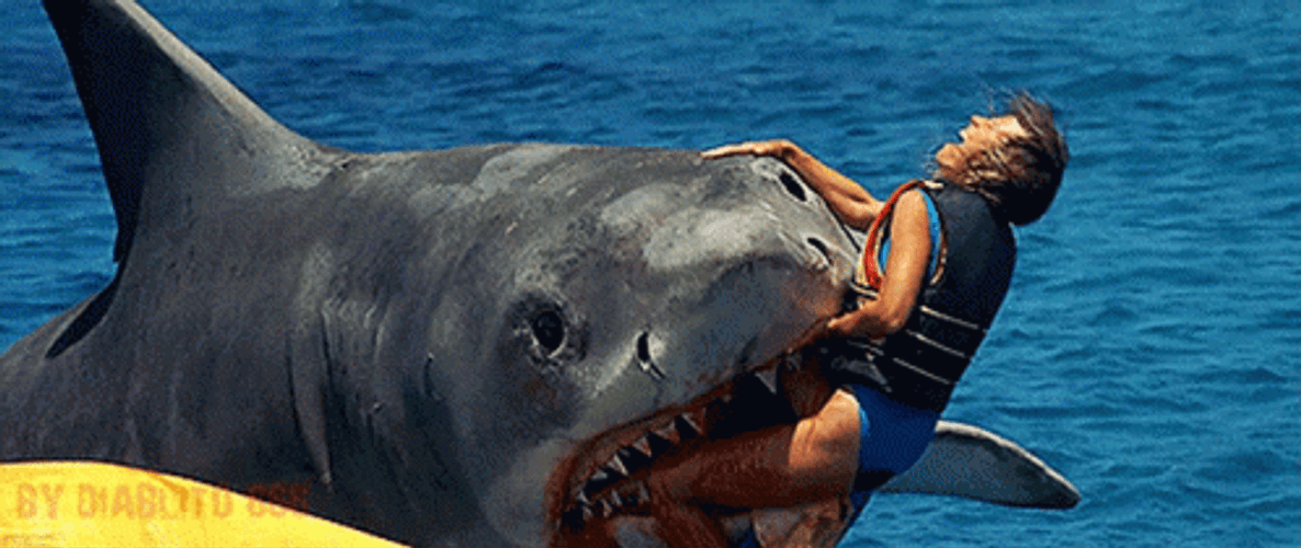 Shark Week Bite A Girl GIF