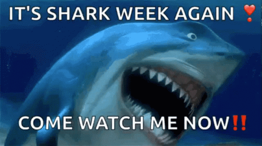 Shark Week Come Watch Me Now GIF