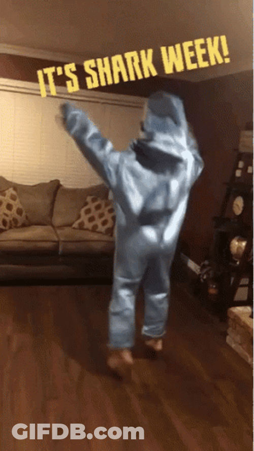 Shark Week Costume GIF