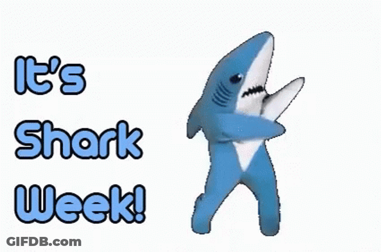 Shark Week Dancing For You GIF