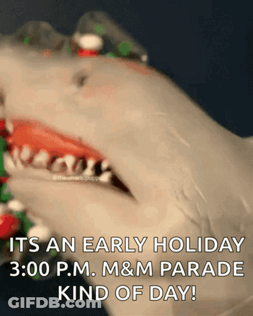 Shark Week Eating Chocolates GIF