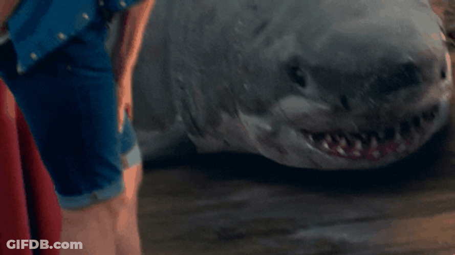 Shark Week Guy Coming Out GIF
