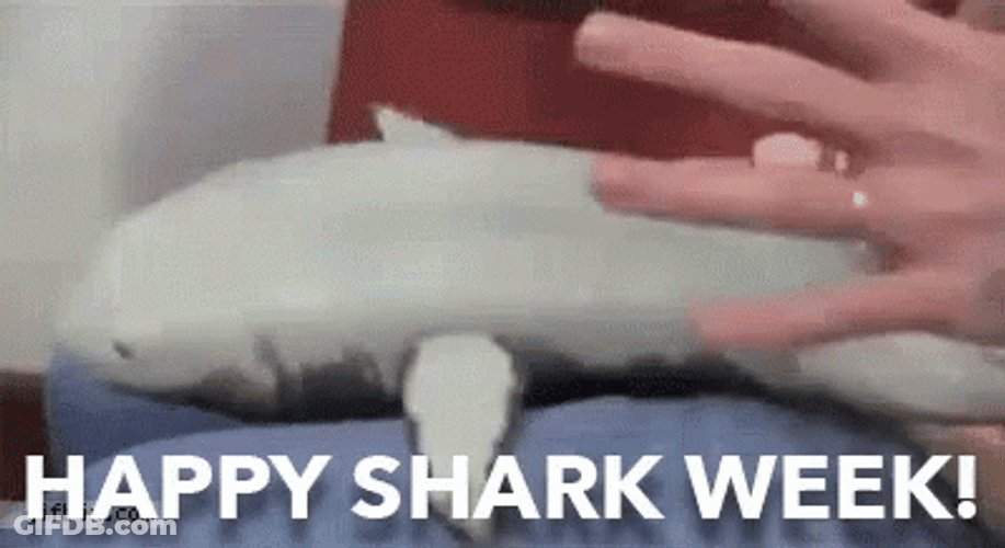 Shark Week Little Tickles GIF