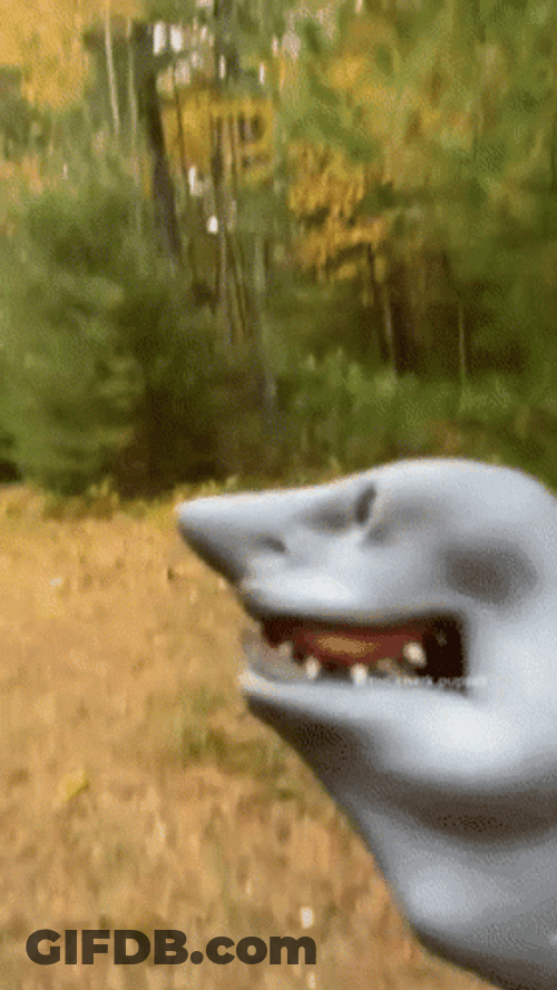 Shark Week On The Land GIF
