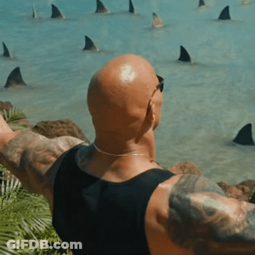Shark Week Sharks Down There GIF