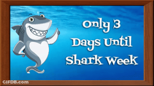 Shark With 3 Days Until Shark Week GIF