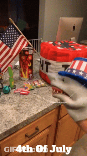 Shark With 4Th Of July GIF