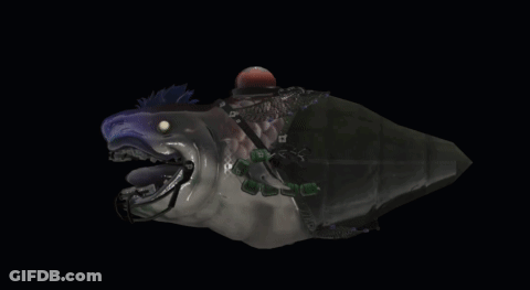 Shark With Fishing Rod On Head GIF