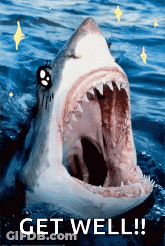 Shark With Mouth Open Get Well GIF