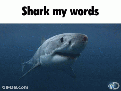 Shark With Shark My Words GIF