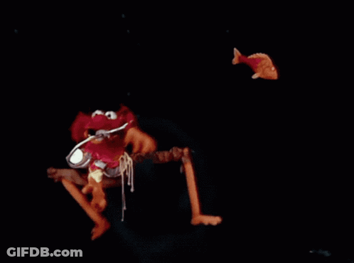 Shark With Sharp Teeth Held By Person's Leg GIF