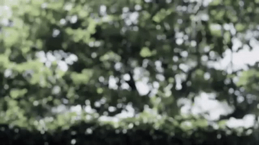 Sharknado April Wexler Laser Hands GIF