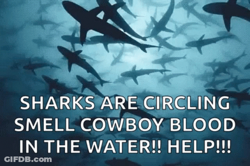 Sharks Are Circling Smelling Cowboy Blood In The Water !! Help !! GIF