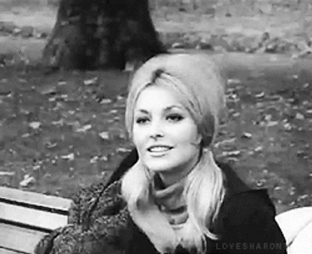 Sharon Tate Confused GIF