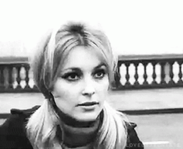 Sharon Tate Serious Look GIF
