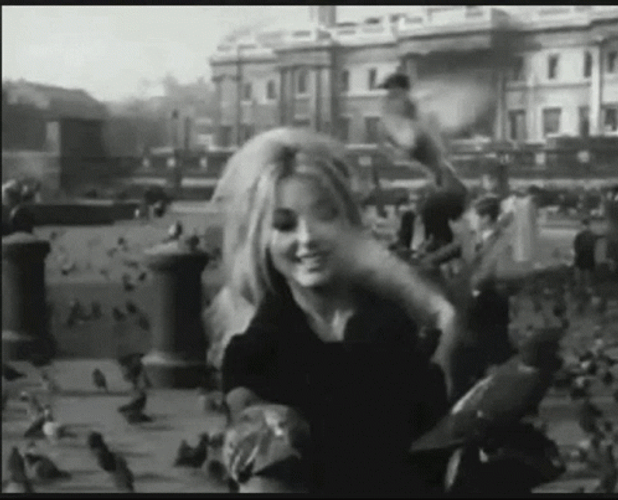 Sharon Tate With Pigeons GIF