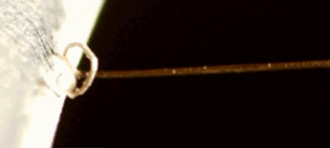 Sharp Knife Peeling The Stick Broom GIF