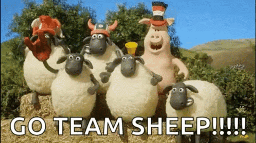 Shaun The Sheep Fans Audience GIF