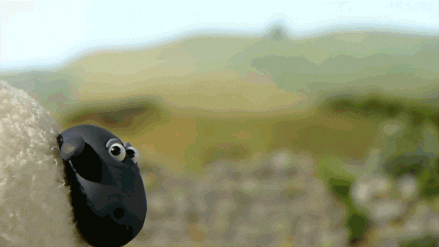 Shaun The Sheep Saw Red Card GIF