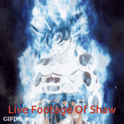 Shaw Live Footage With Dragon Ball Z Character GIF