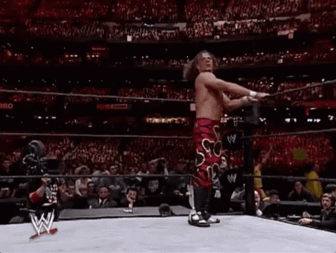Shawn Michael Superkick Stomping GIF