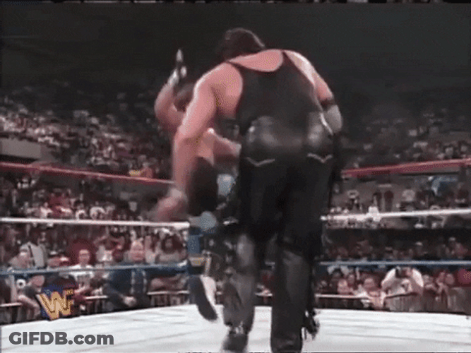 Shawn Michaels Back Kick GIF