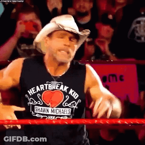 Shawn Michaels Cowboy Attire Entrance GIF