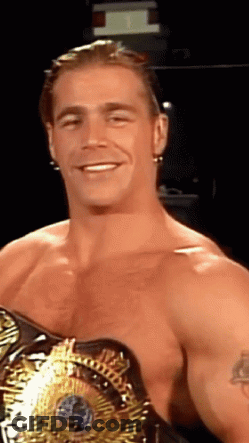Shawn Michaels Eyebrows Up Smile GIF