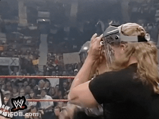 Shawn Michaels Fancy Mask On GIF