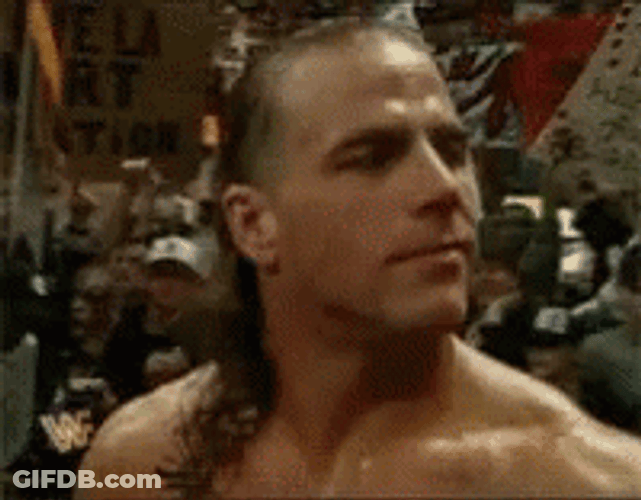 Shawn Michaels Genuine Smile GIF
