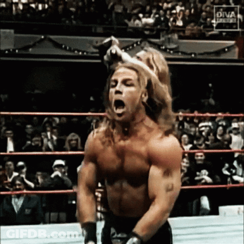 Shawn Michaels Goofy Dance GIF