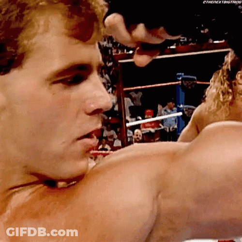 Shawn Michaels Kissing A Muscle GIF