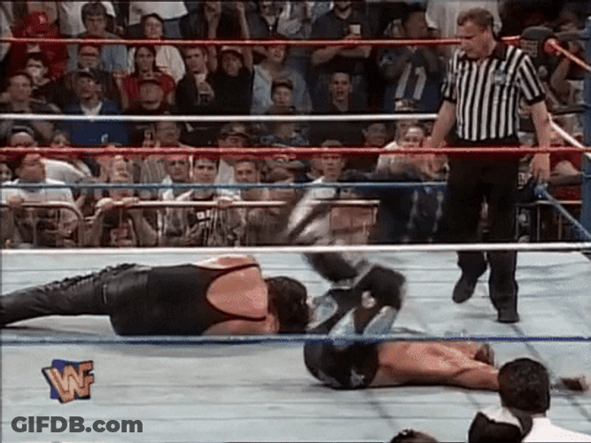 Shawn Michaels Roaring Knockout GIF