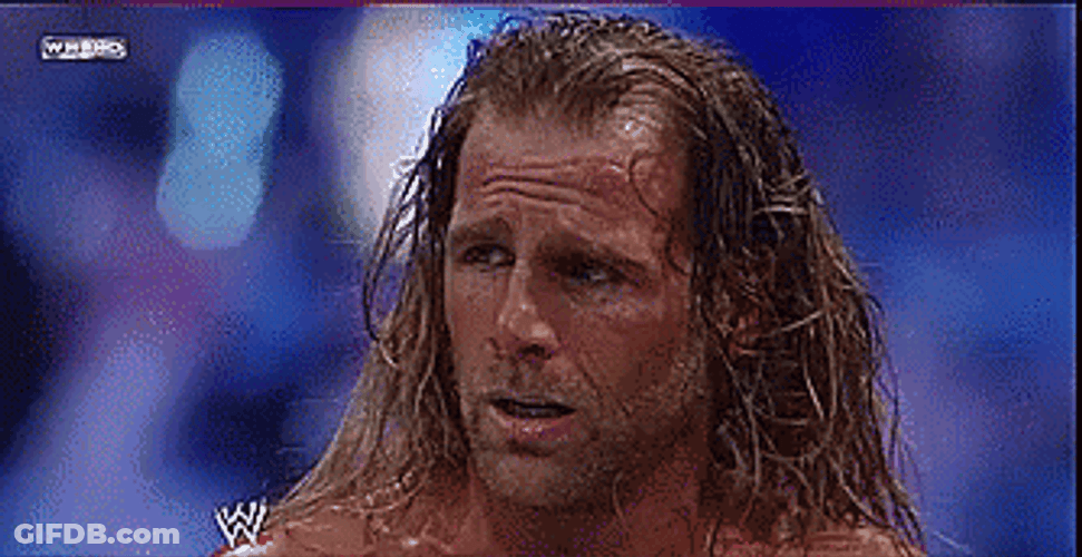 Shawn Michaels Seriously Fighting GIF