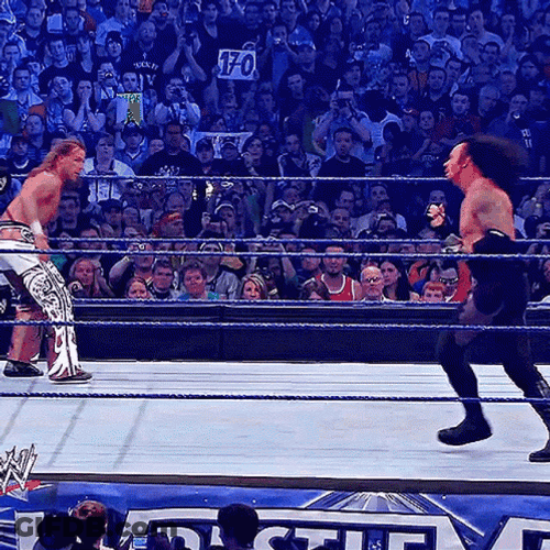 Shawn Michaels Side Kick GIF