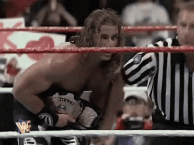 Shawn Michaels Victorious Win GIF