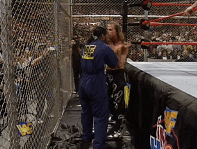 Shawn Michaels Wrestling Incident GIF