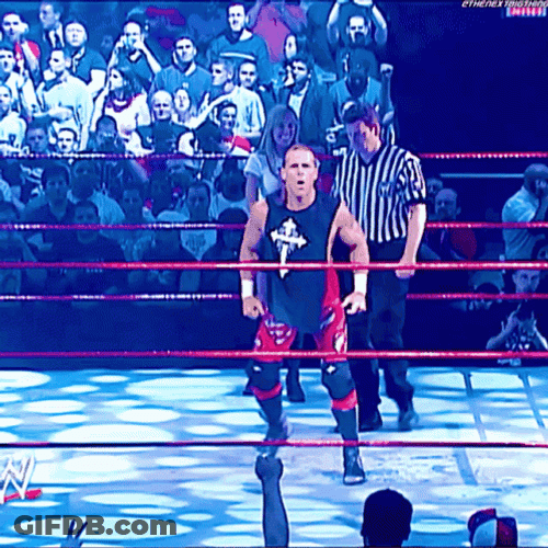 Shawn Michaels Yeah Entrance Pose GIF