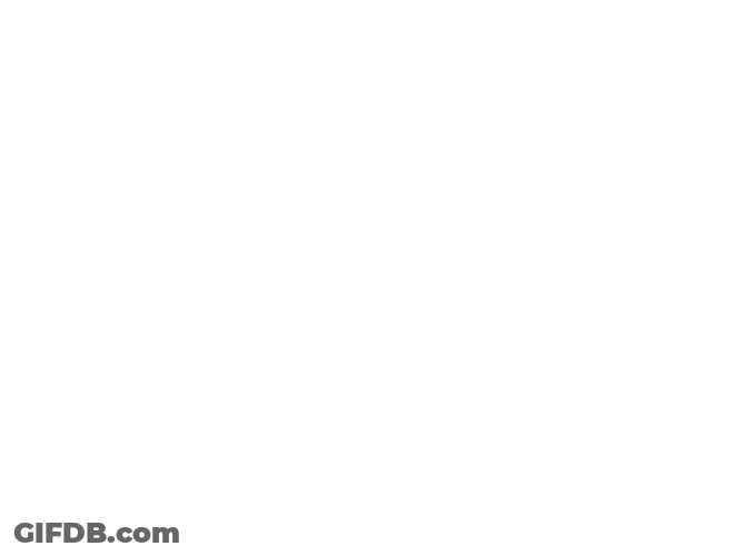 Shawty Bae Love GIF