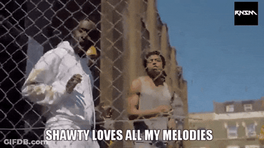 Shawty Loves All My Melodies Bae GIF
