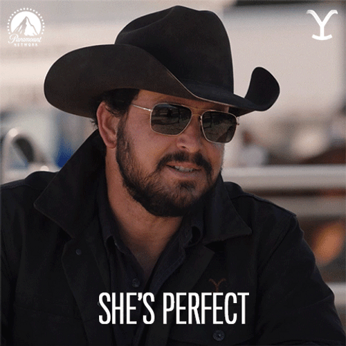 She's Perfect Rip Yellowstone GIF