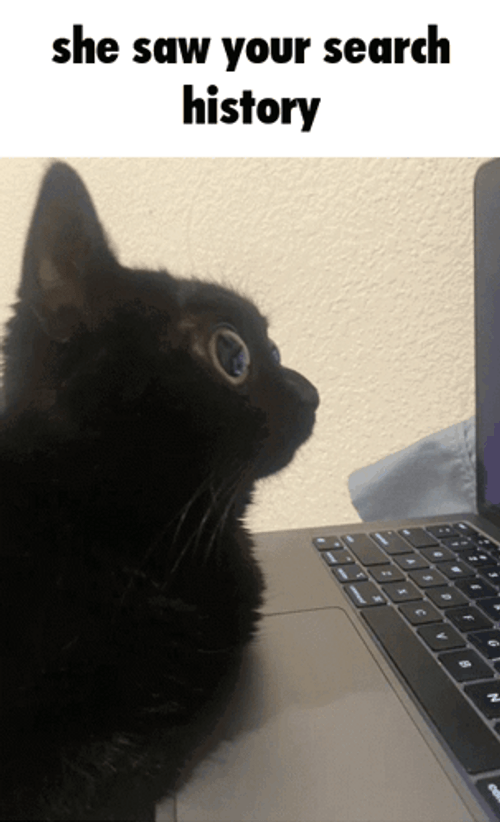 She Saw Your Search History GIF