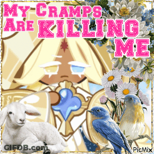 Sheep And Birds With Cramps Are Killing Me GIF