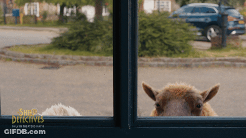 Sheep Detectives Movie Poster Sheep Peeking Out Window GIF