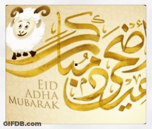 Sheep Eid Adha Mubarak GIF