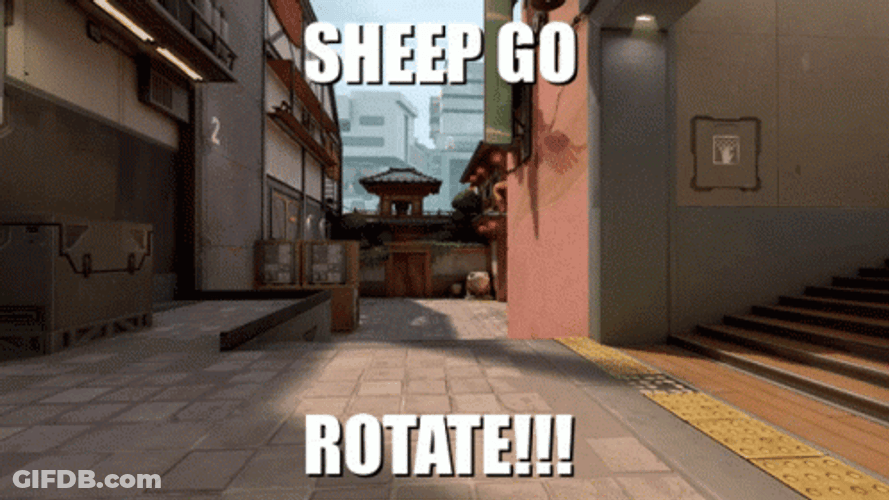 Sheep Go Rotate GIF