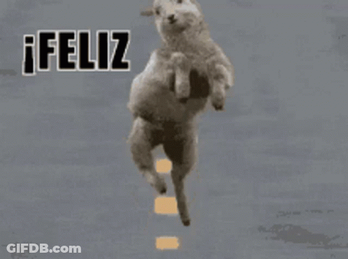 Sheep Jumping Feliz Inicio De Mes GIF
